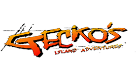 A black background with the word gecko island adventure written in orange.