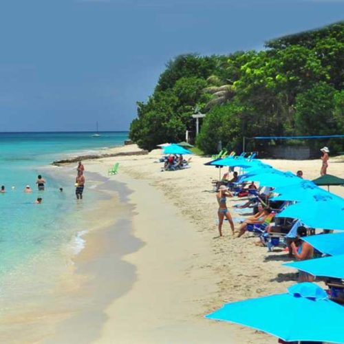 A beach with many people and blue umbrellas