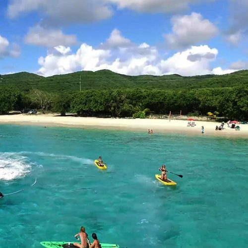 A group of people riding surfboards in the ocean.