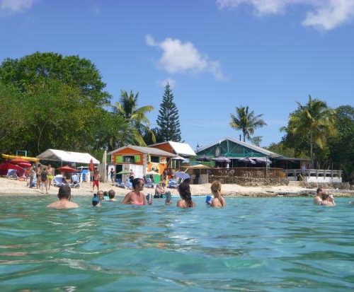 A group of people swimming in the water.