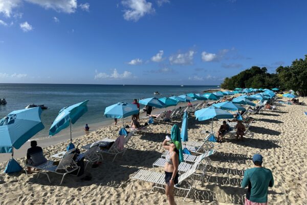 A beach with many blue umbrellas and people on it