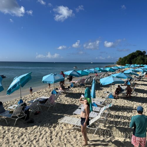 A beach with many blue umbrellas and people on it