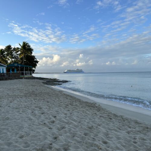 A beach with some trees and water in the background