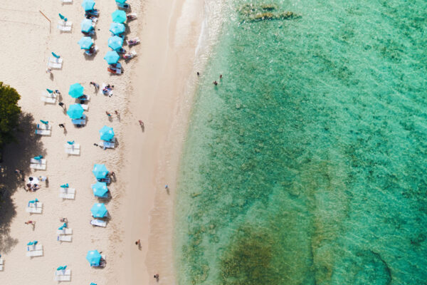 A beach with many umbrellas and people on it