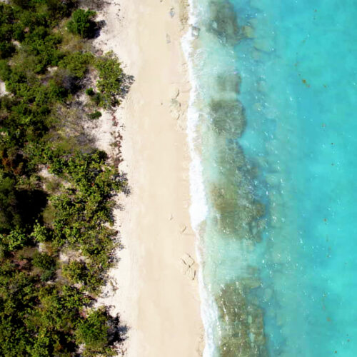 A beach with trees and water in the background