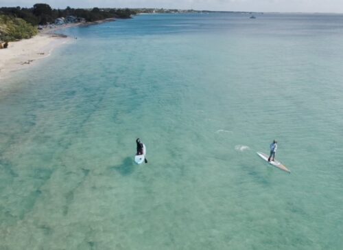 Two people paddle boarding in the ocean.